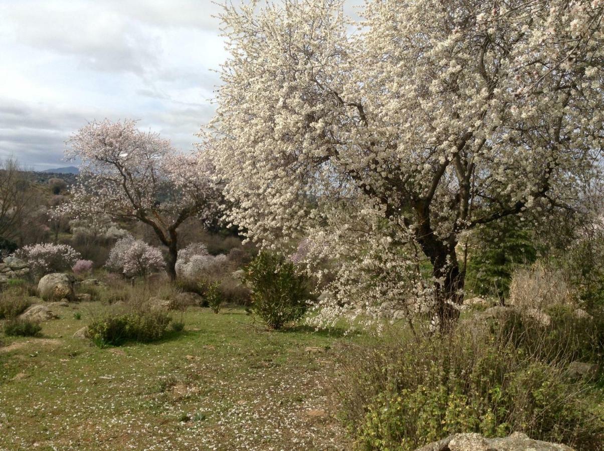Finca El Cerco A 5M De Puy Du Fou Y 10M A Casco Antiguo De Toledo Villa Argés Eksteriør bilde